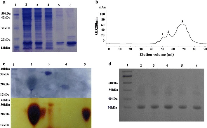 Fig. 2