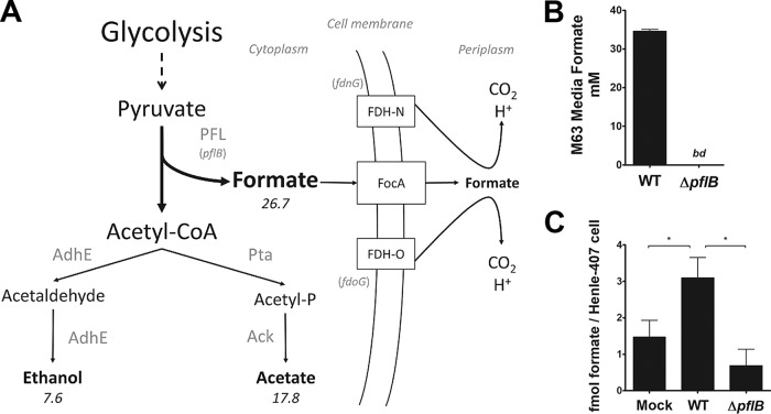 FIG 2