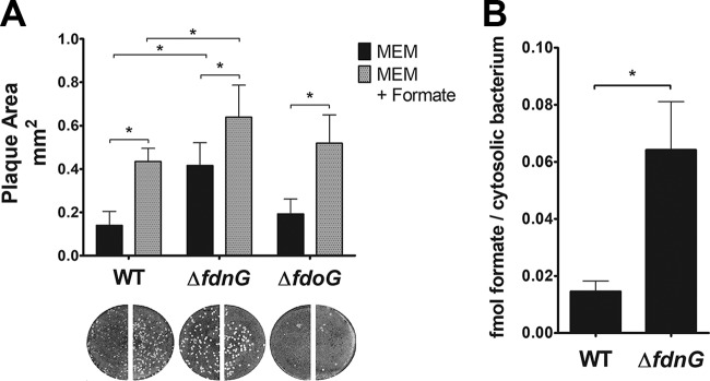 FIG 3