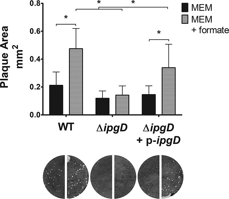 FIG 6