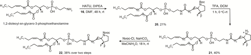 Scheme 3.