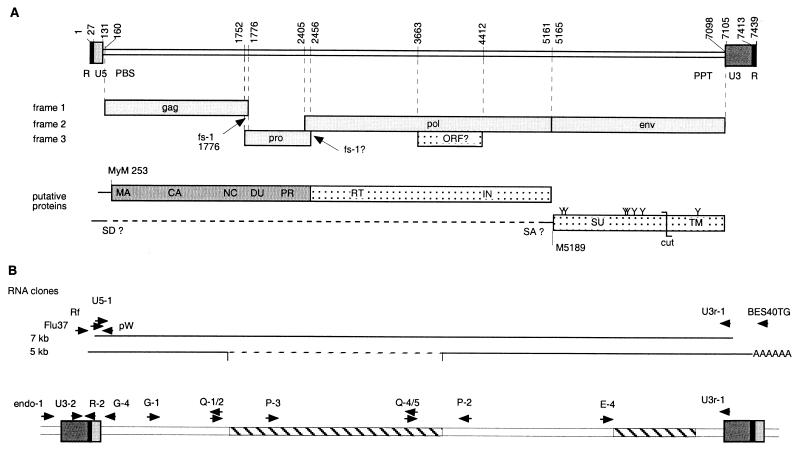 FIG. 2.