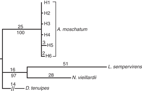 Fig. 3.