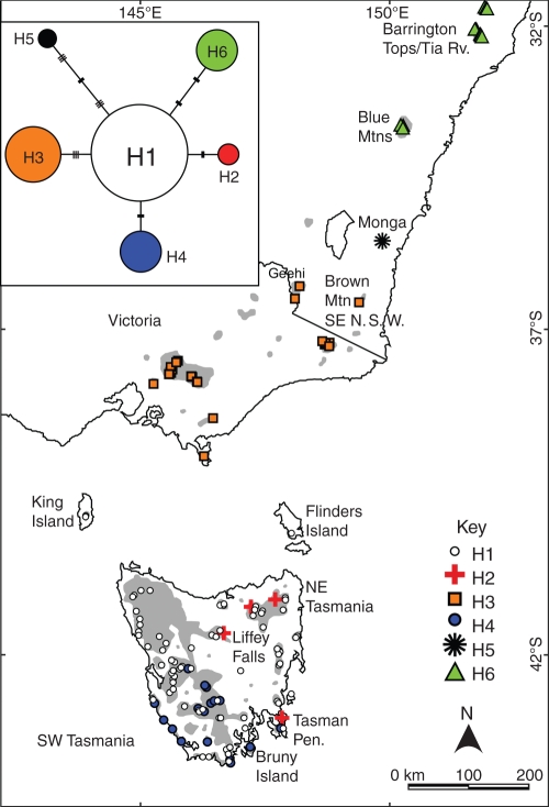 Fig. 2.