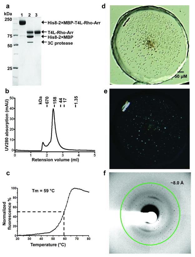 Extended Data Fig. 2