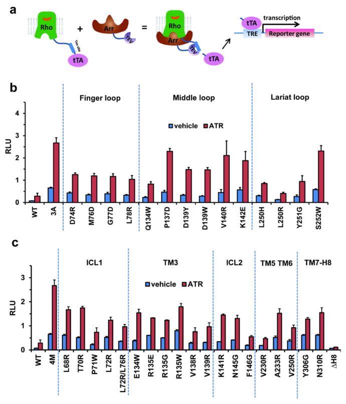 Extended Data Fig. 7