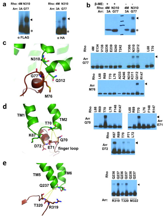 Extended Data Fig. 8