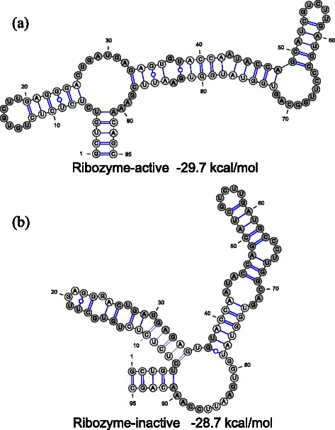 Fig. 8