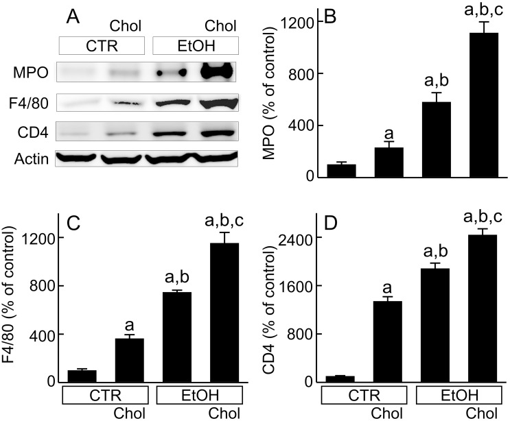 Fig 4