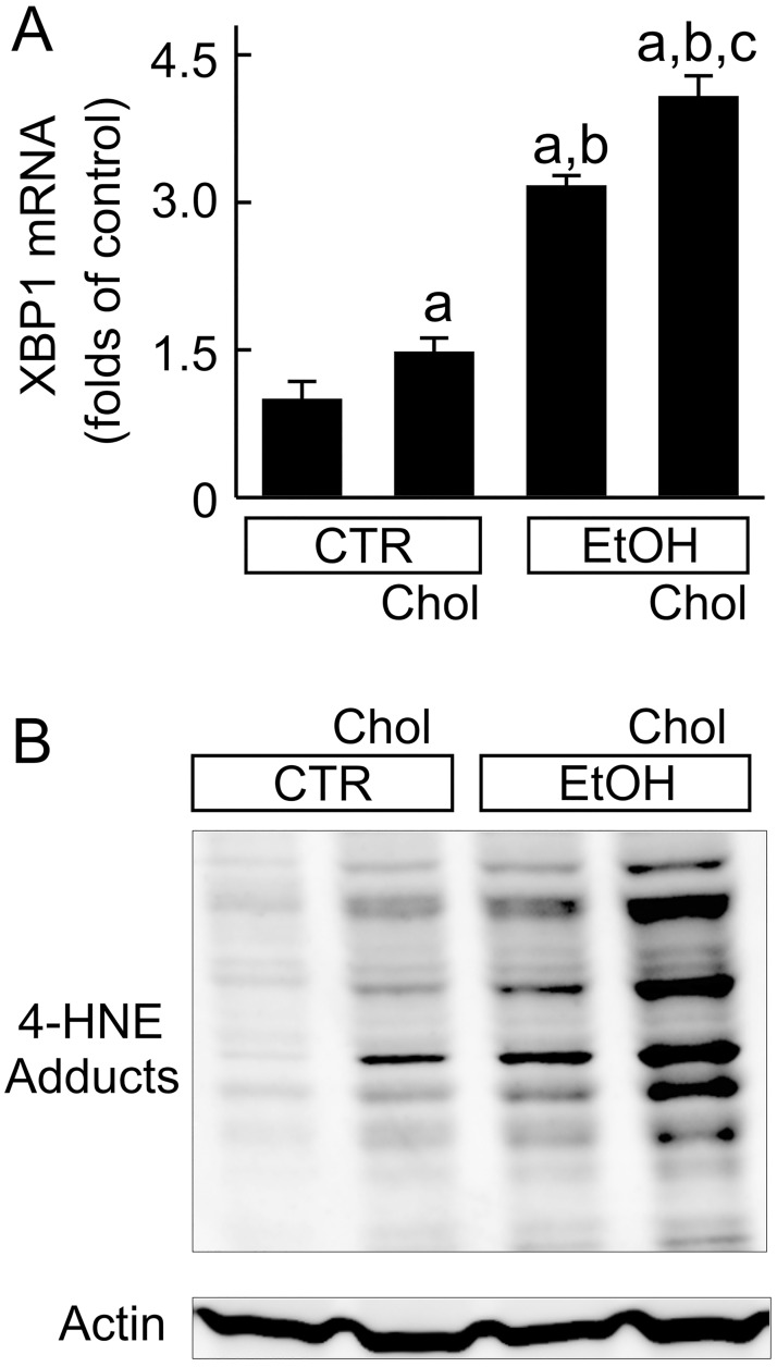 Fig 8