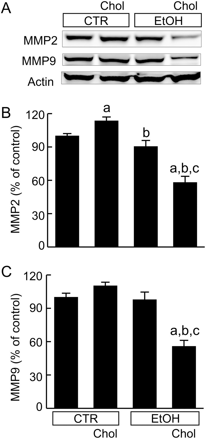 Fig 7