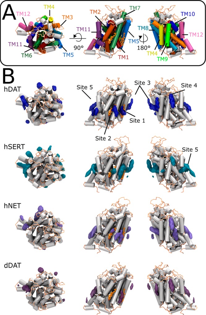 Figure 31