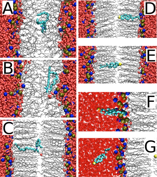 Figure 41