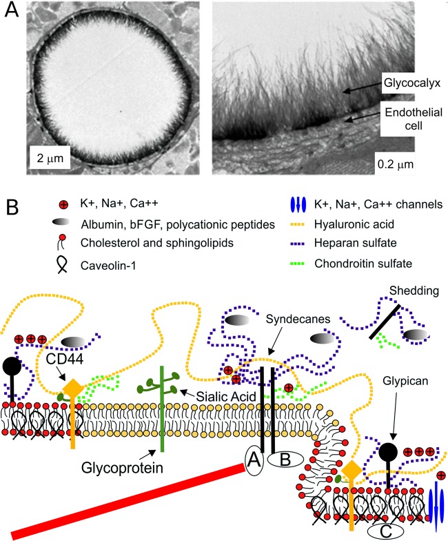 Figure 14