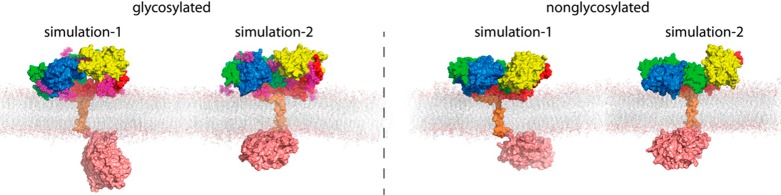 Figure 50