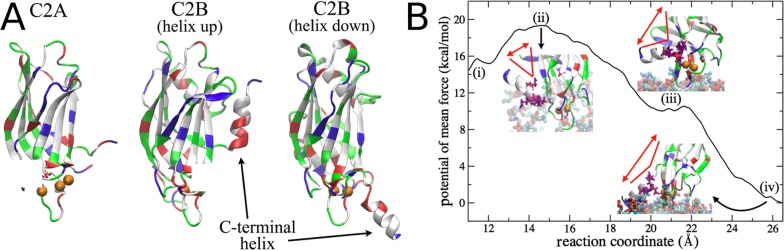 Figure 36