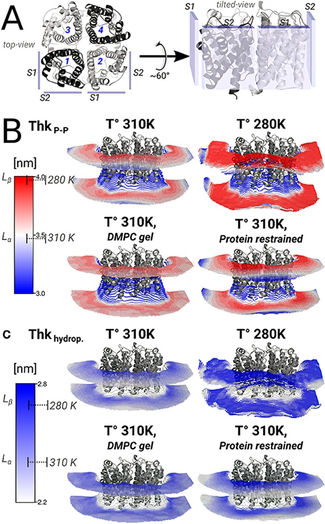 Figure 29