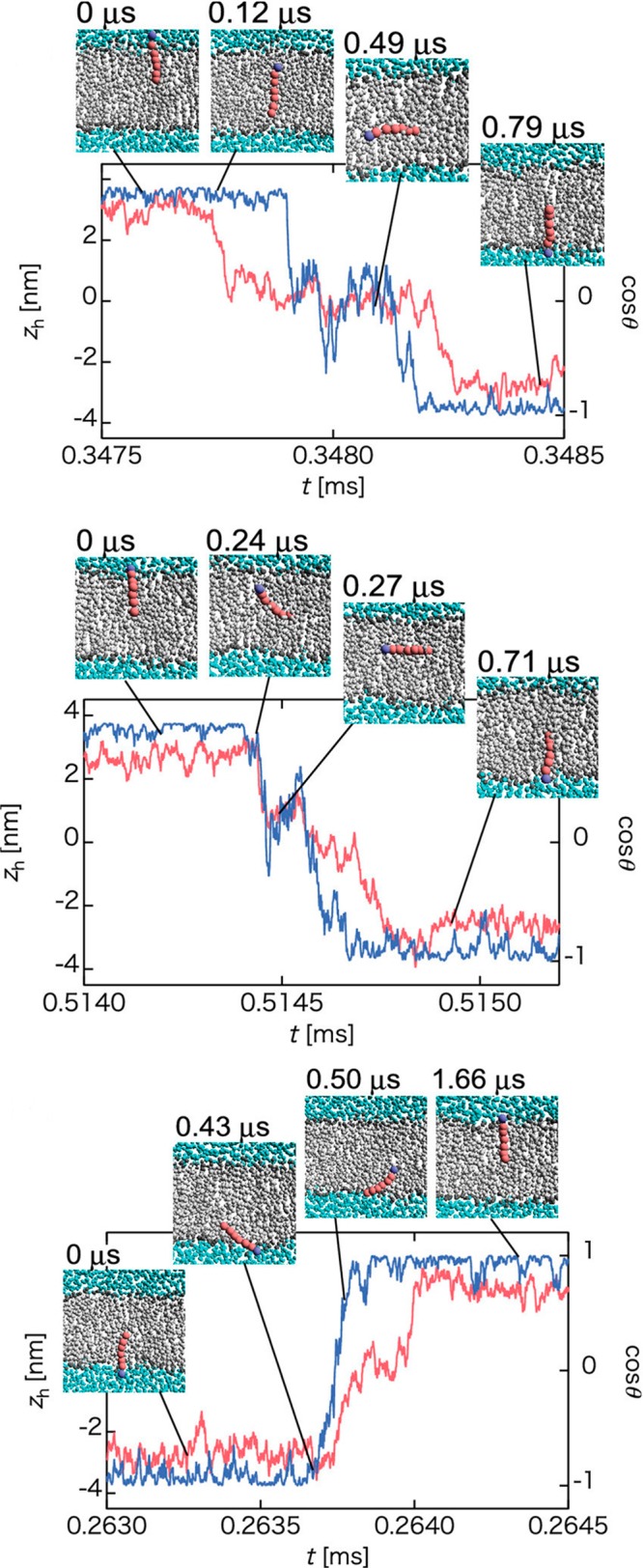 Figure 42