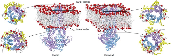 Figure 53