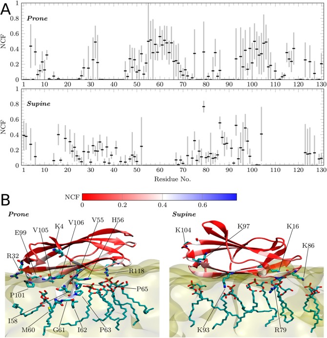 Figure 33