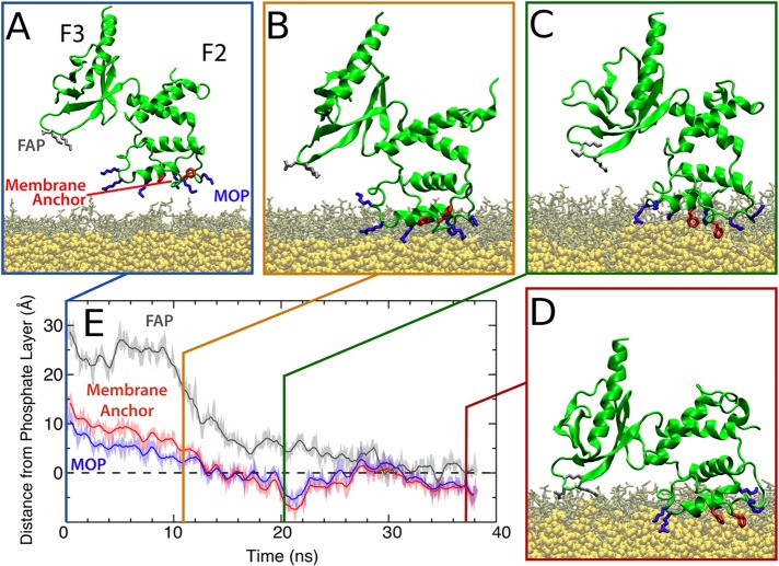 Figure 64