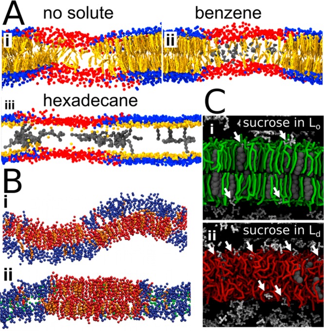 Figure 21