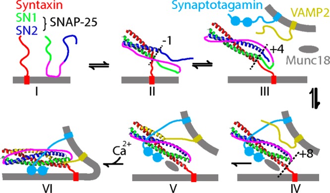 Figure 34