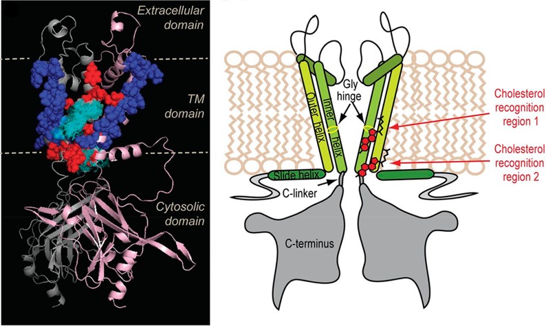 Figure 48