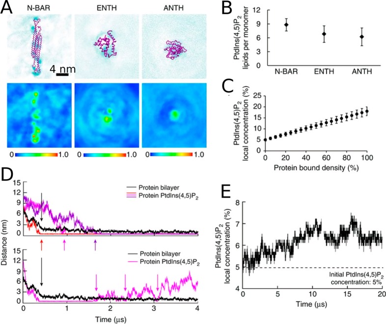 Figure 37