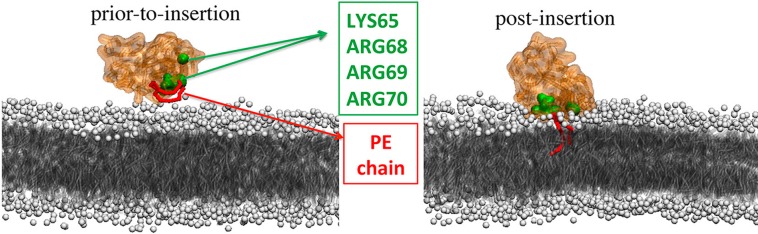 Figure 52