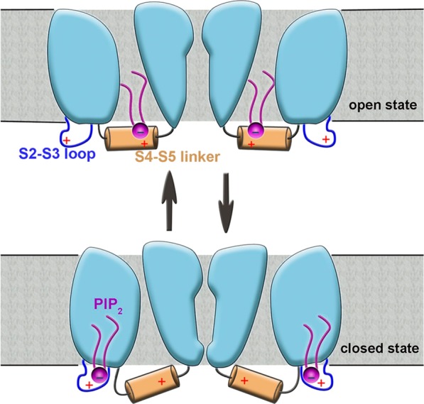 Figure 58