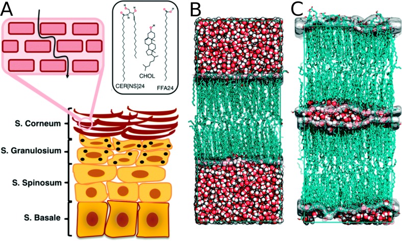 Figure 28