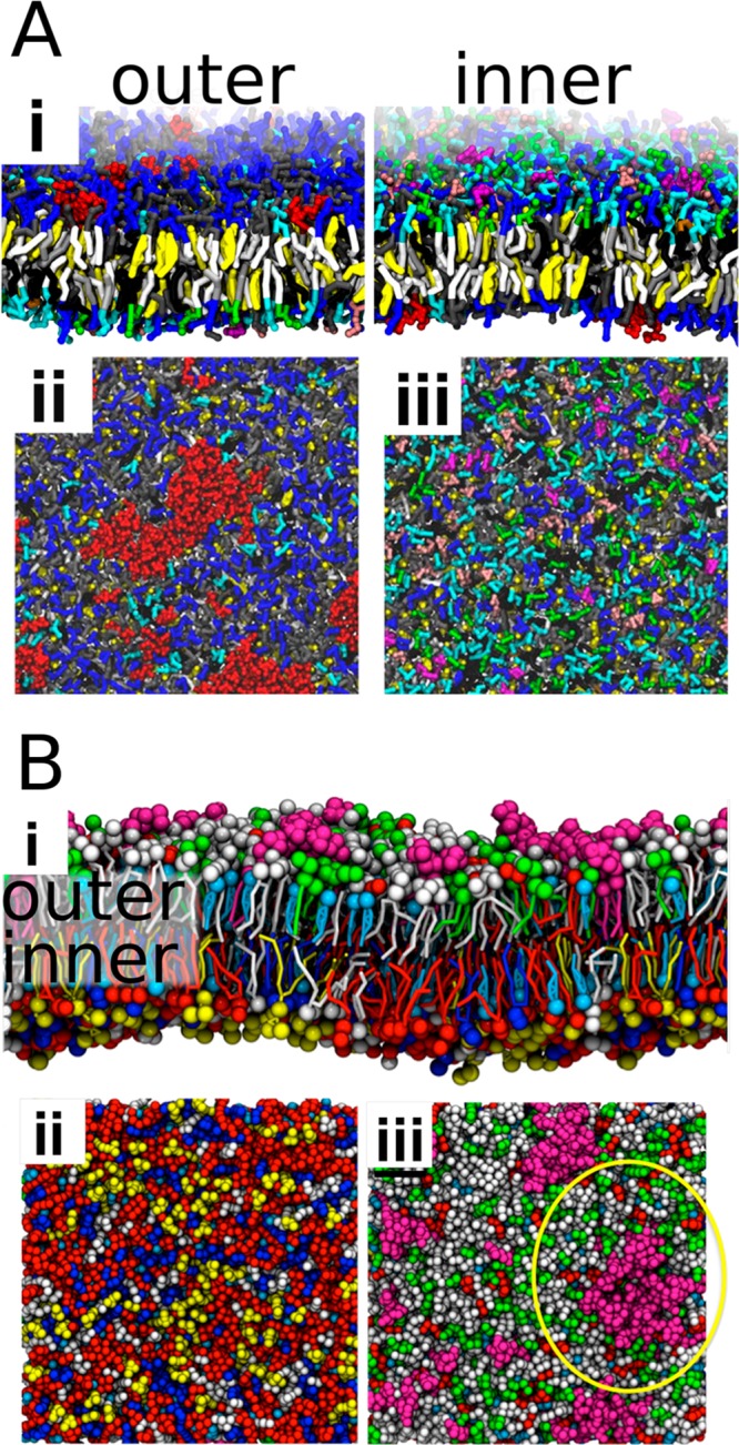 Figure 22