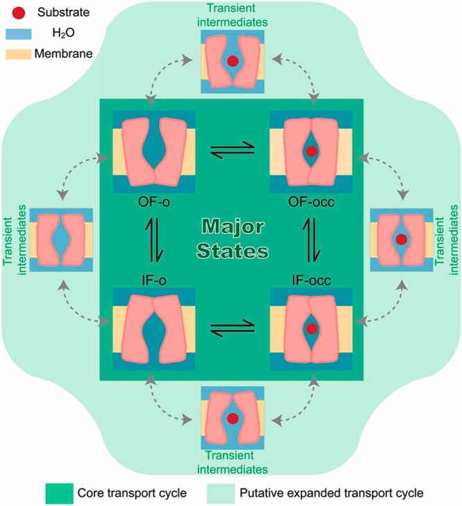 Figure 30