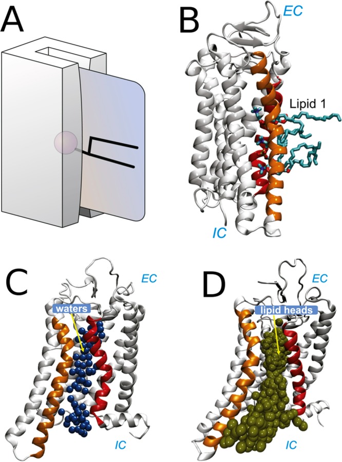 Figure 32