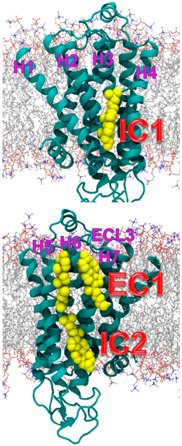 Figure 45