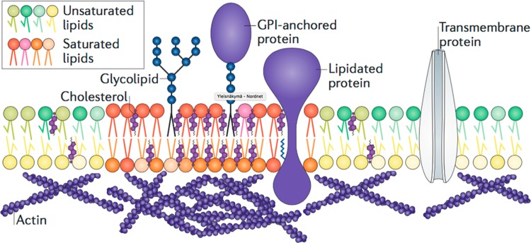 Figure 18