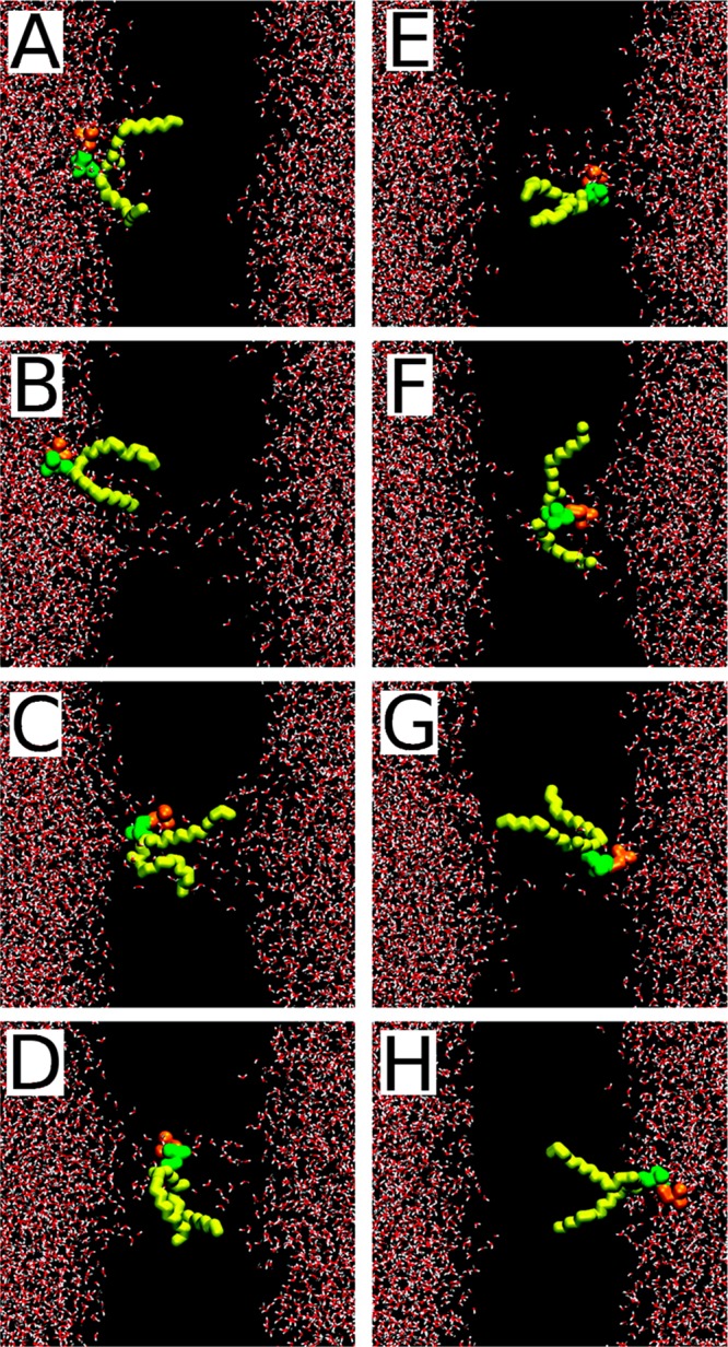 Figure 38