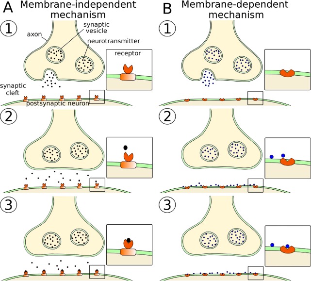 Figure 59