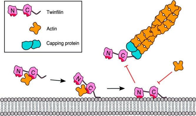 Figure 62