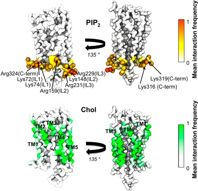 Figure 55