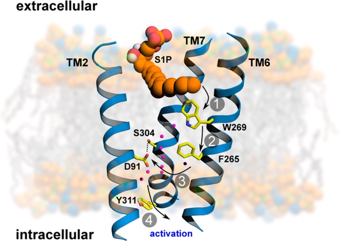 Figure 46