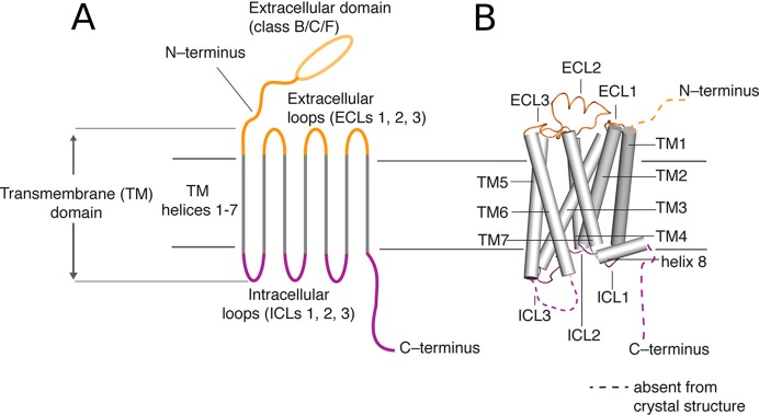 Figure 43