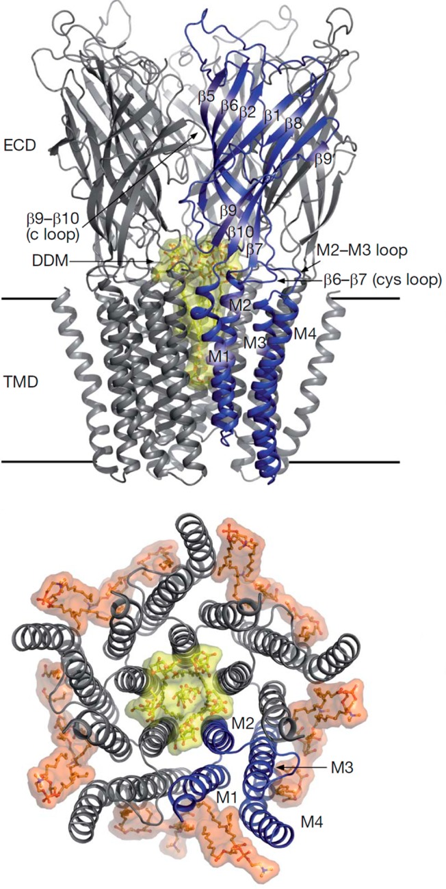 Figure 47