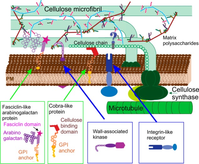 Figure 16