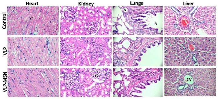 Figure 10