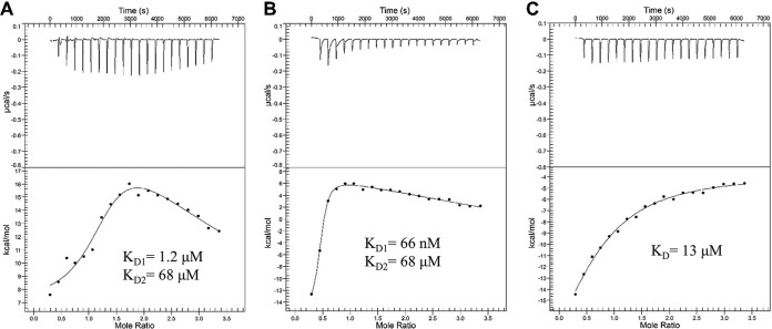 FIG 7