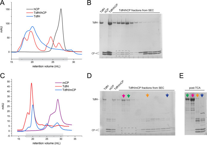 FIG 3