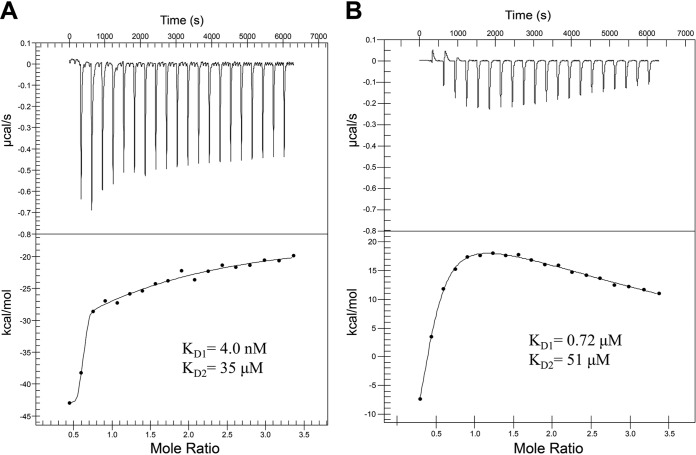 FIG 4