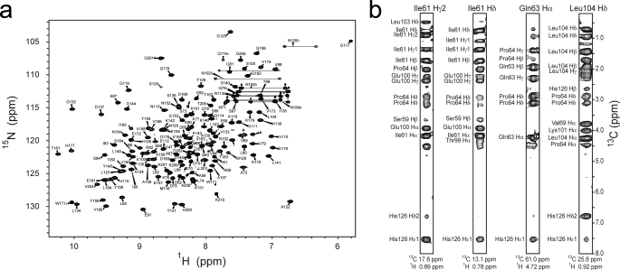 FIGURE 1.